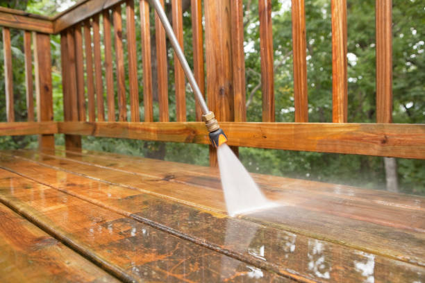 Best Local Pressure Washing Services  in Takoma Park, MD