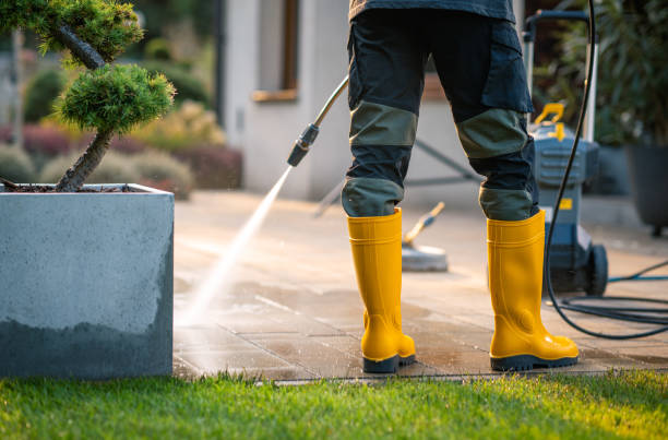 Best Pressure Washing Company Near Me  in Takoma Park, MD